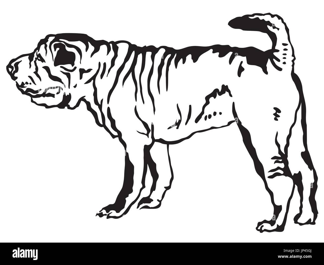 Dekoratives Porträt von stehend im Profil Shar-Pei, isoliert Vektorgrafik in schwarzer Farbe auf weißem Hintergrund Stock Vektor