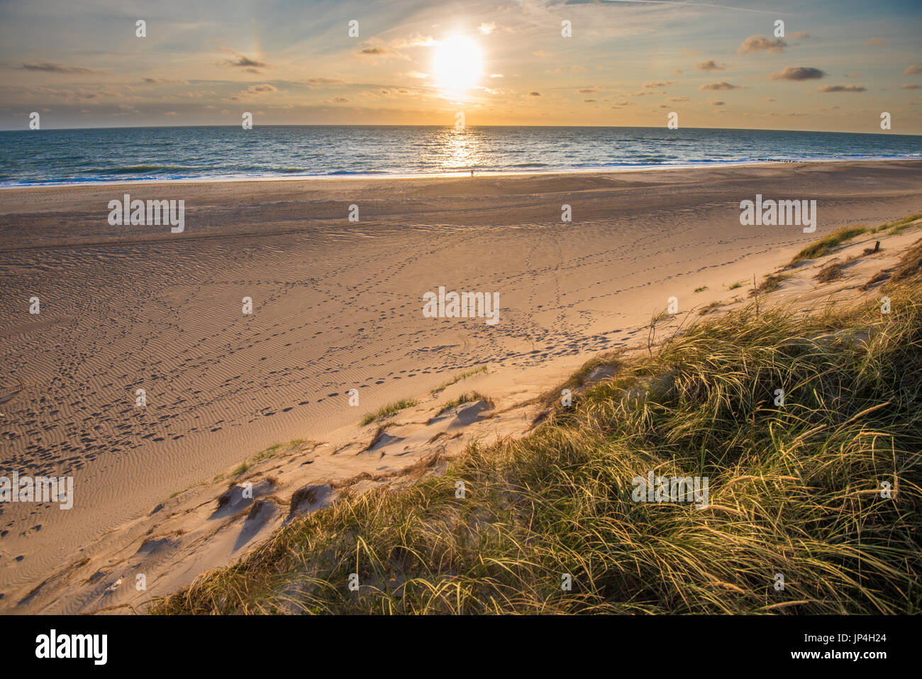 Nordseestrand, Küste von Jütland in Dänemark Stockfoto