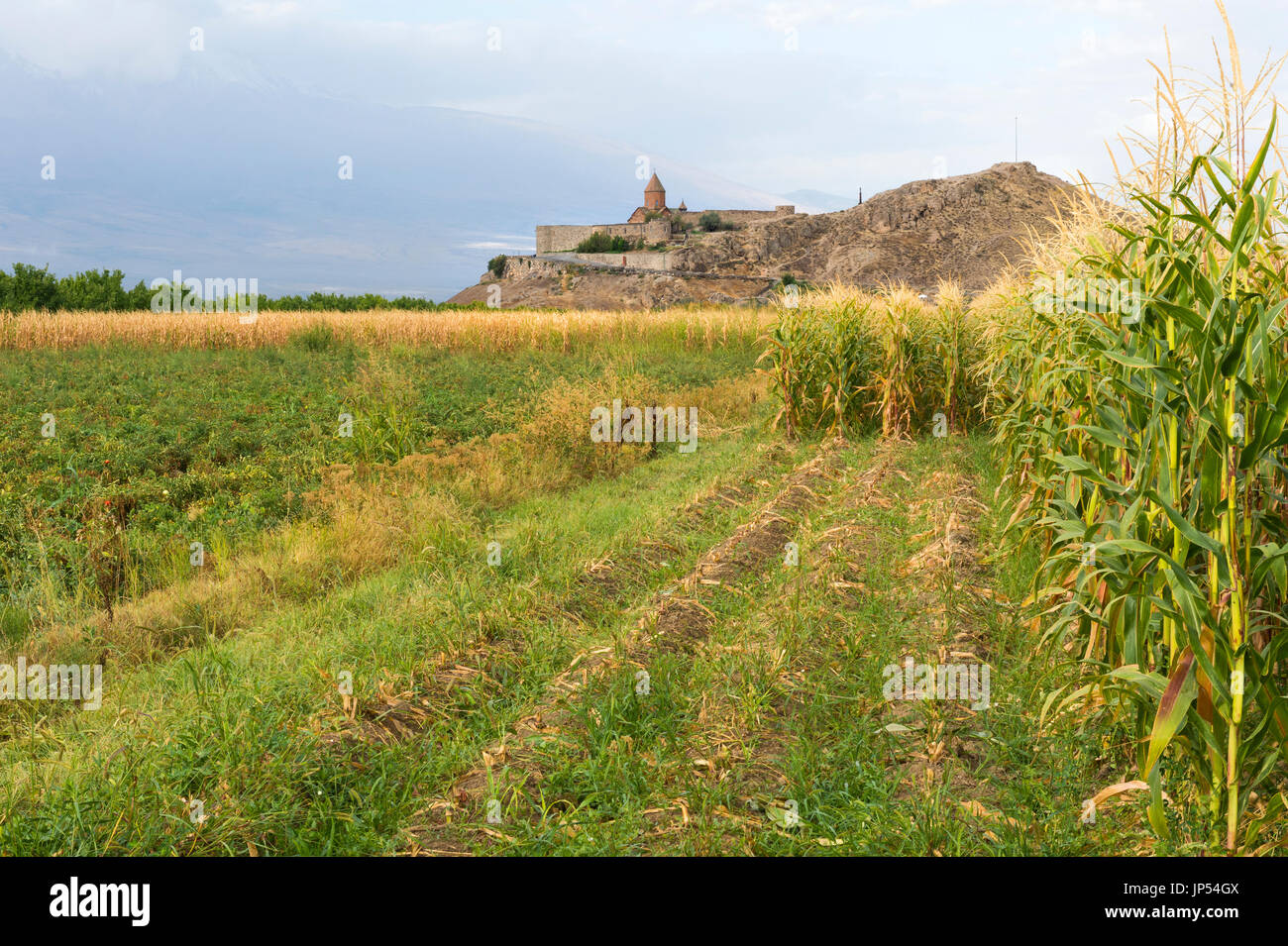 Blick auf Kloster Khor Virap mitten im Feld, Provinz Ararat, Armenien Stockfoto
