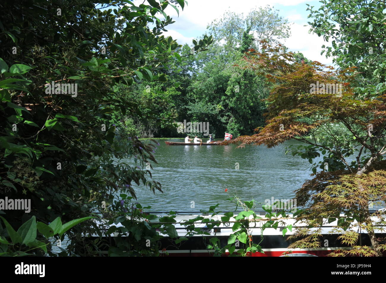 Swan Upping auf der Themse Stockfoto