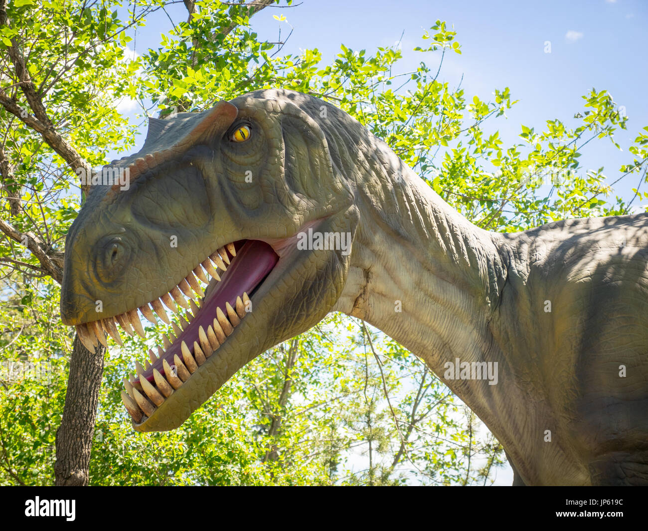 Eine lebensgroße Modell Replik der furchterregende Tyrannosaurus Rex im prähistorischen Park Calgary Zoo, Calgary, Alberta, Kanada. Stockfoto