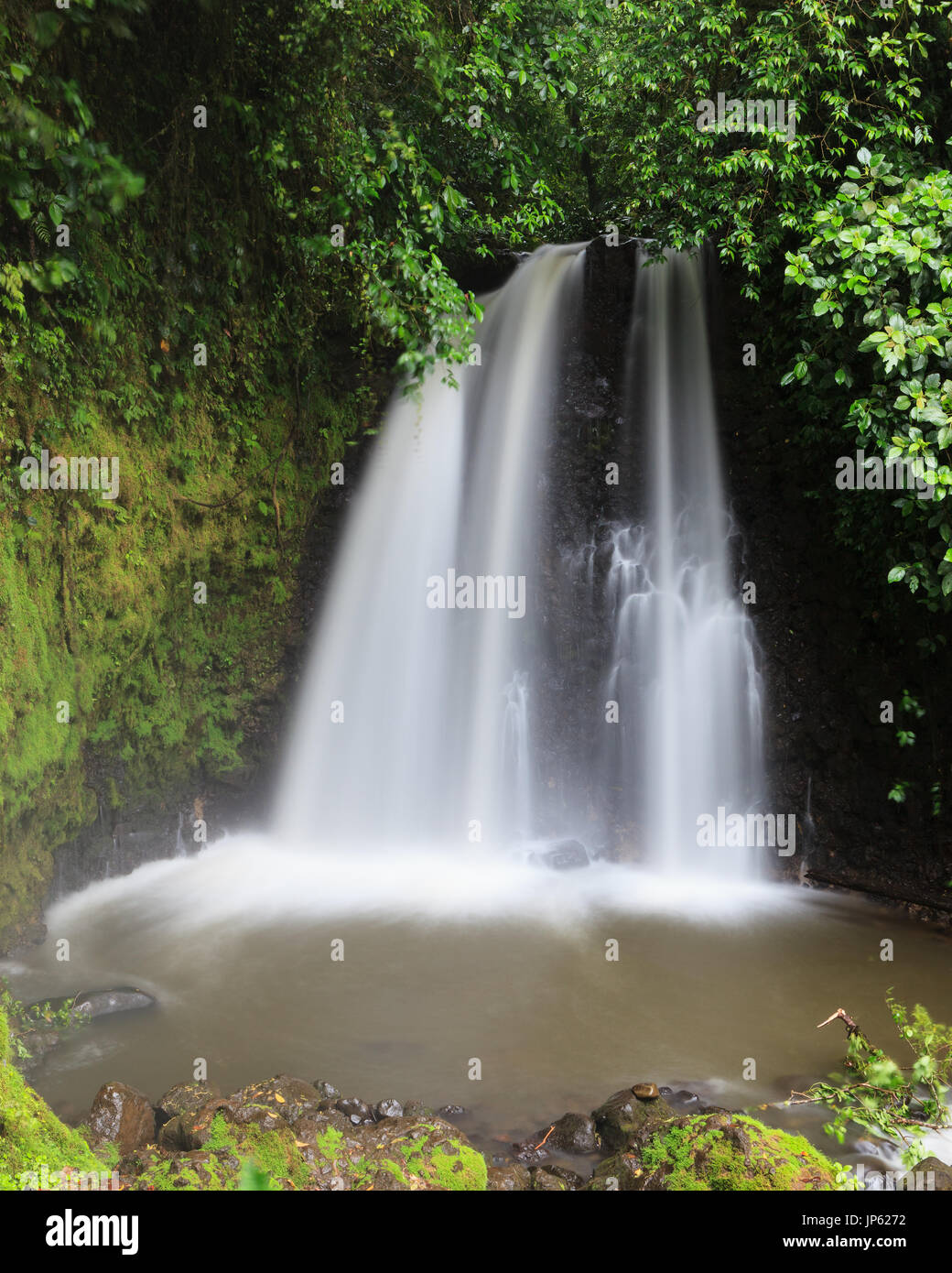 Wasserfall in Costa Rica Wald Stockfoto