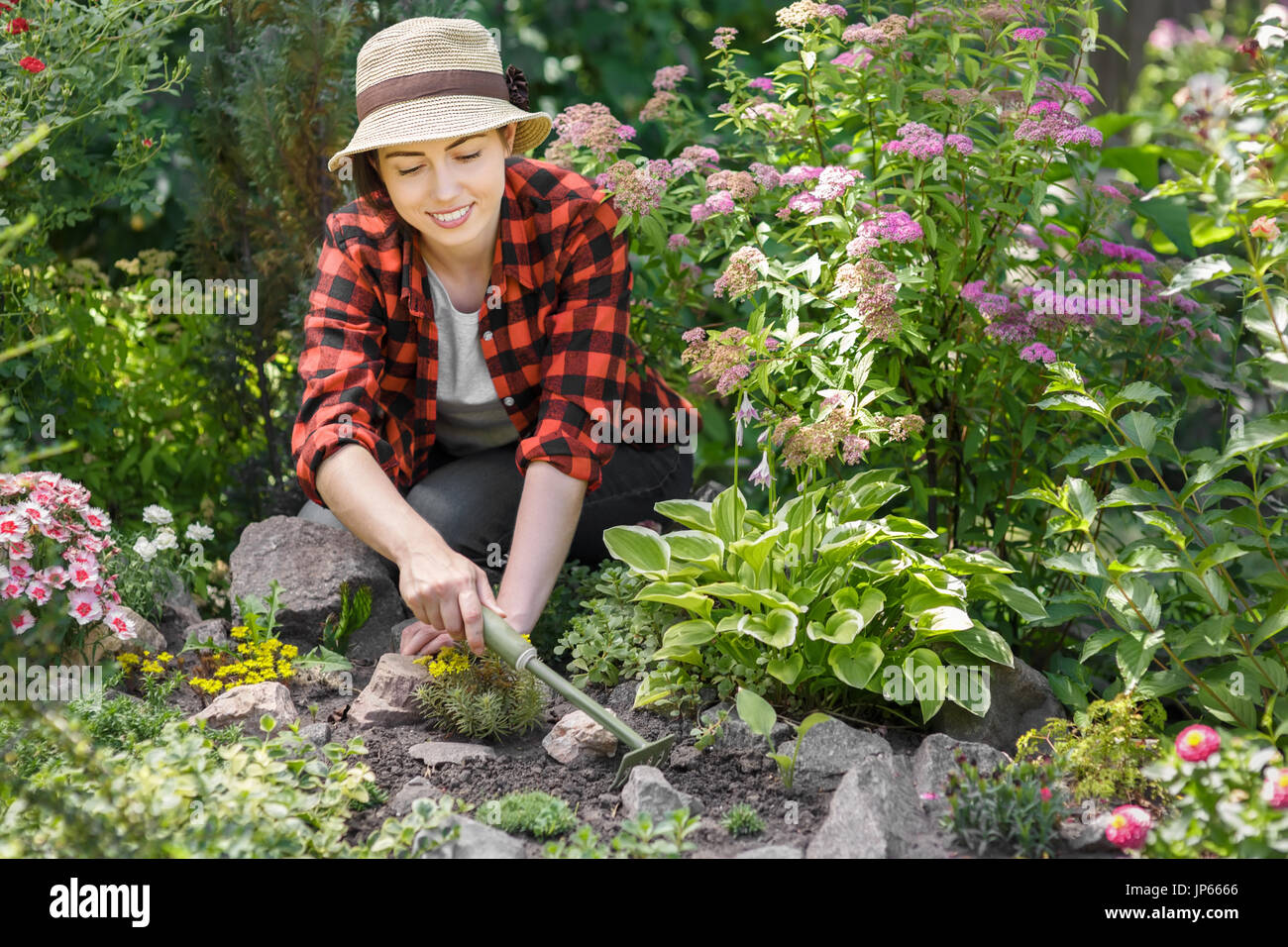 Frau Gärtner Unkraut jäten Stockfoto