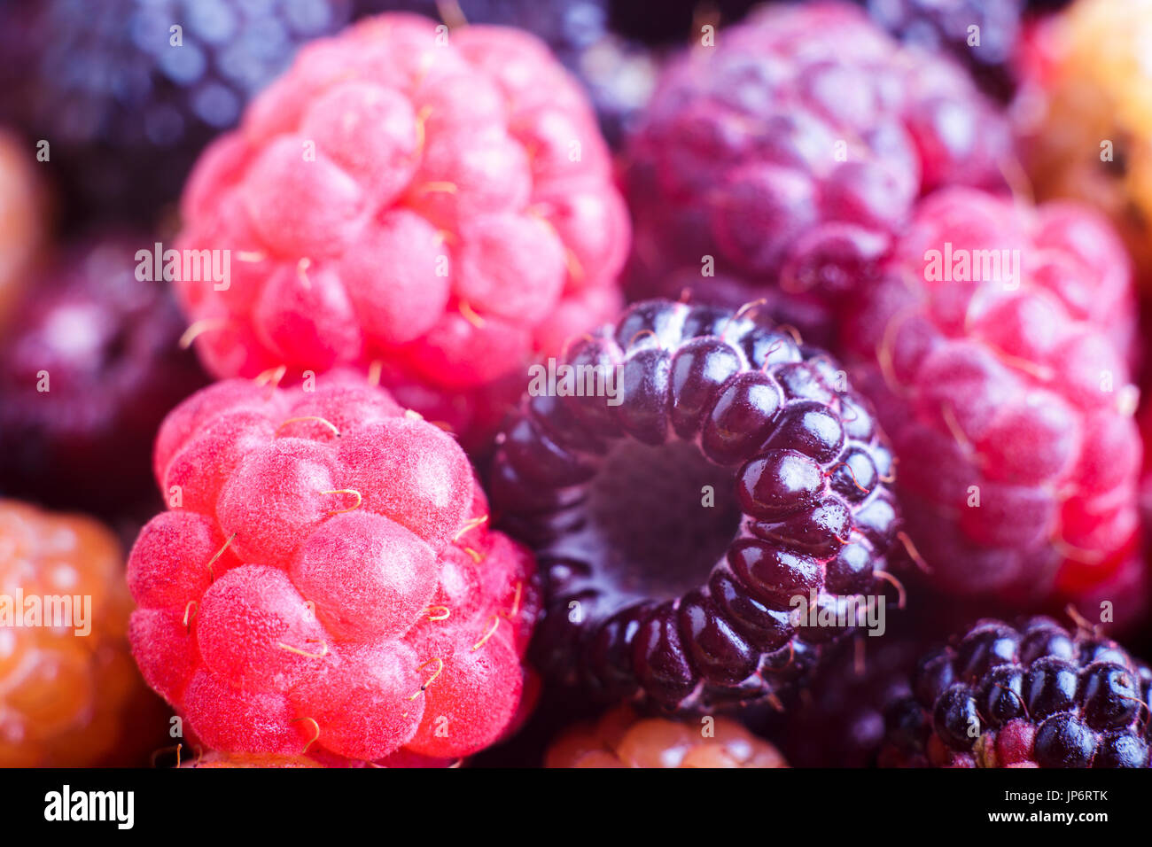 Nahaufnahme Bild des wilden Beeren von Himbeeren und Brombeeren. Gesunde Ernährung-Hintergrund Stockfoto