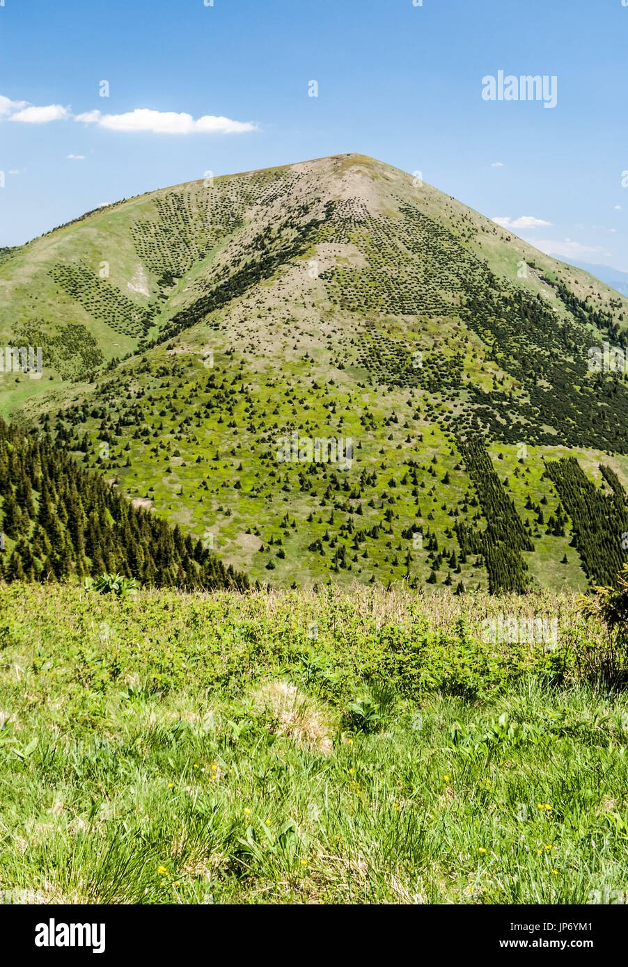 STOH Hügel mit Bergwiese in Mala Fatra Gebirge in der Slowakei Stockfoto