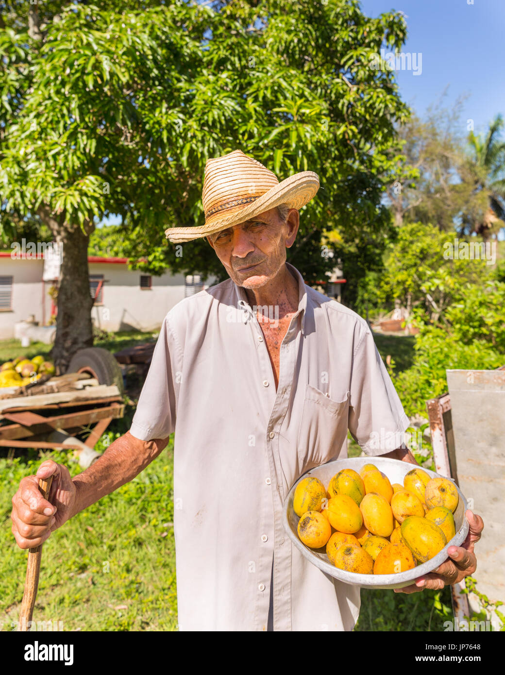 Kubanische Bauern bieten Mangos in Jibacoa, Kuba Stockfoto