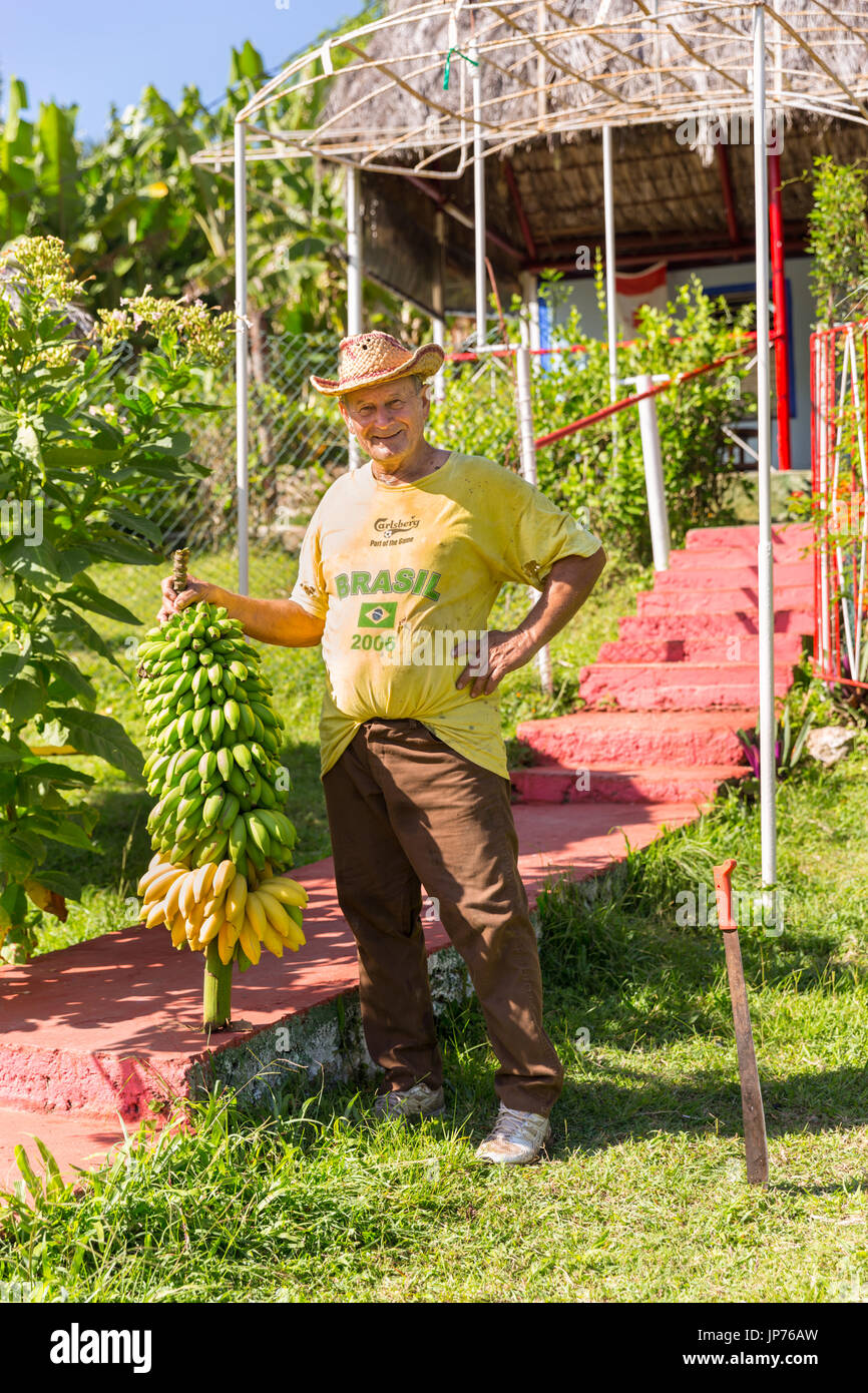 Kubanischen Bauer mit frischen Bananen auf der Straße in der Provinz Mayabeque, ländliche Kuba Stockfoto