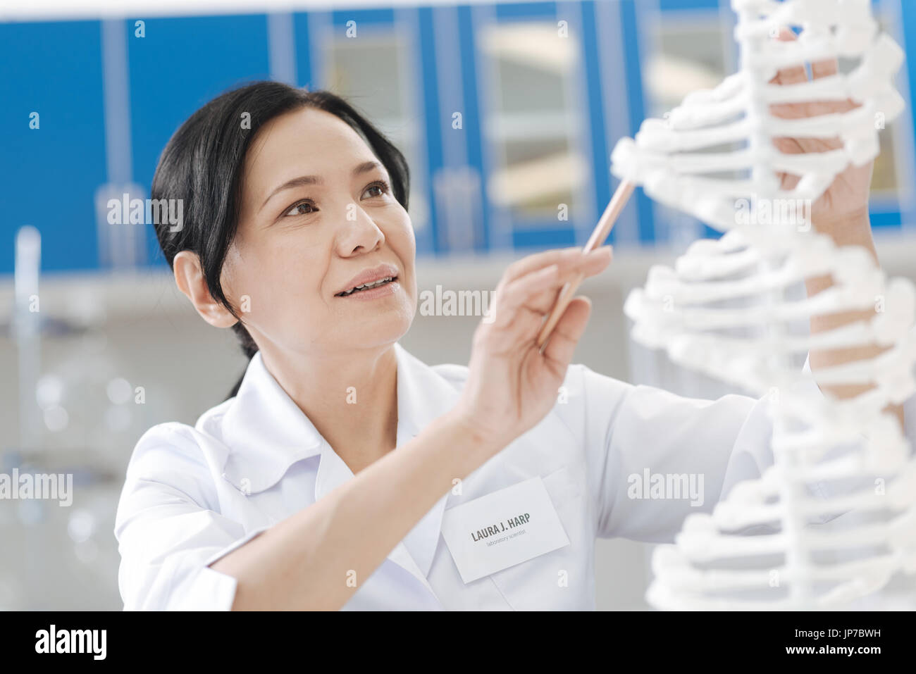 Angenehme nette Frau Studium des DNA-Modells Stockfoto