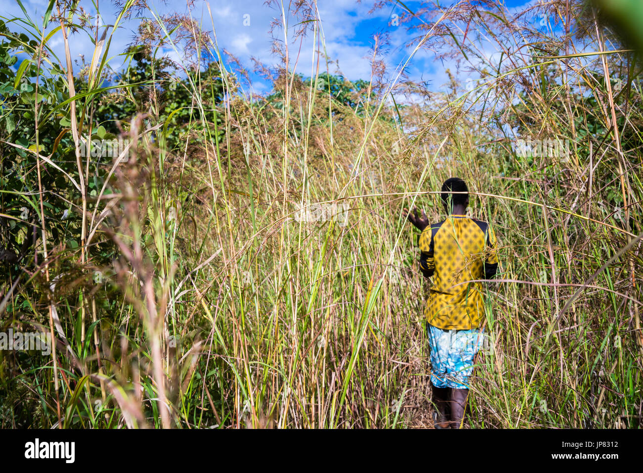 Afrikanischen jungen zu Fuß in den Büschen Stockfoto
