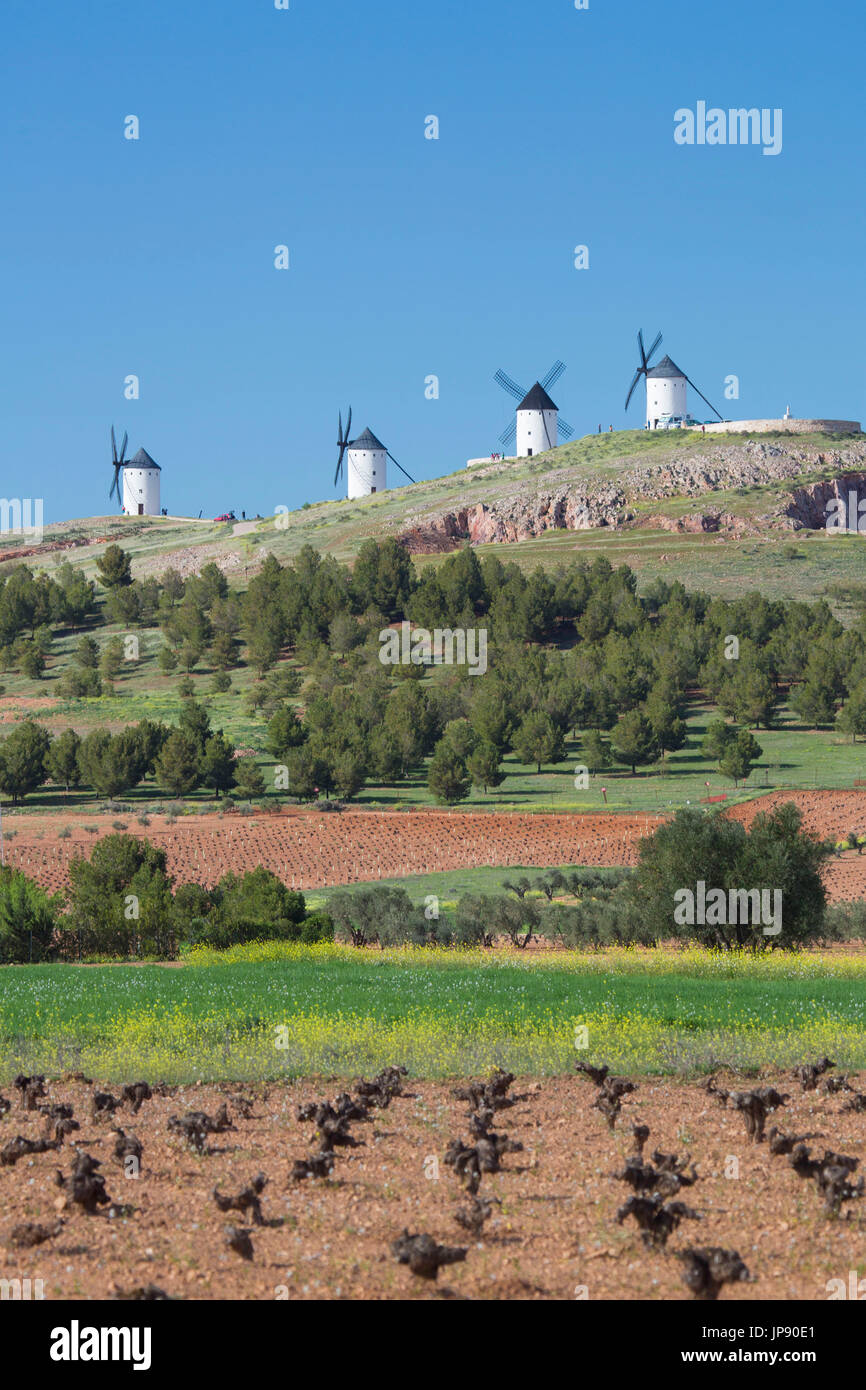 Spanien, Region La Mancha, Campo de Criptana Bereich, Windmühlen, Stockfoto