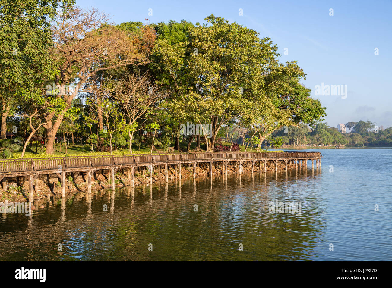 Der Holzsteg und üppigen Bäumen am Kandawgyi See in Yangon, Myanmar an einem sonnigen Tag. Stockfoto