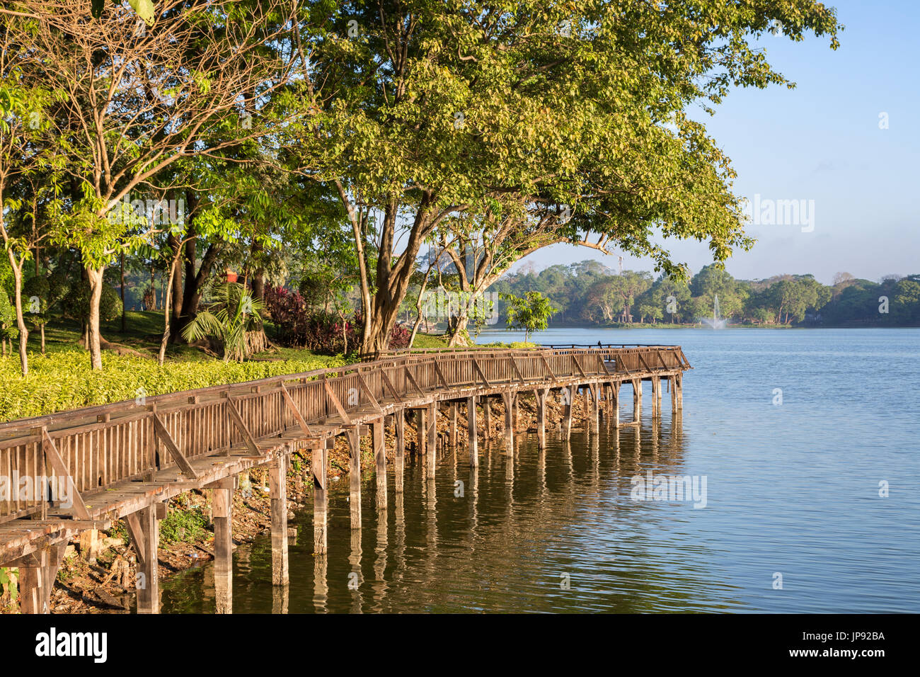 Der Holzsteg und üppigen Bäumen am Kandawgyi See in Yangon, Myanmar an einem sonnigen Tag. Stockfoto