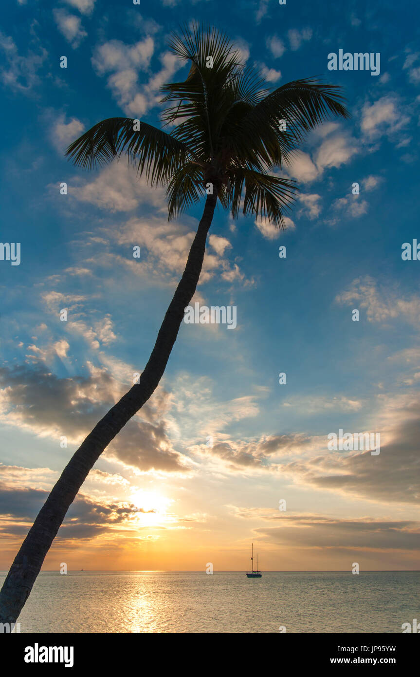 Sunrise, Islamorada Key, Florida, USA, Stockfoto