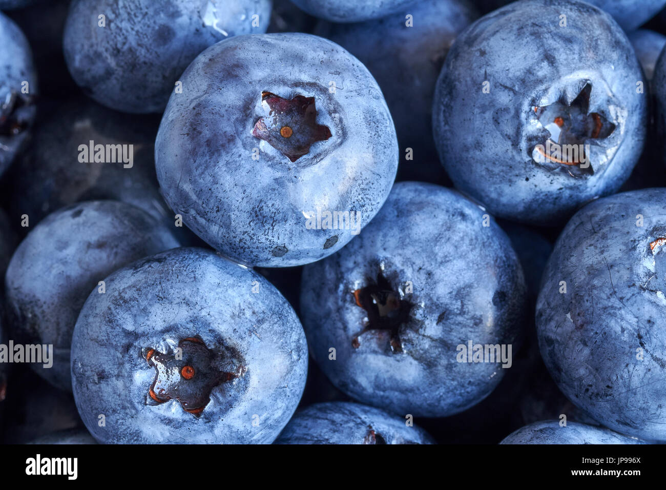 Extreme Nahaufnahme Bild von Reife und frische Blaubeeren, geringe Schärfentiefe. Stockfoto