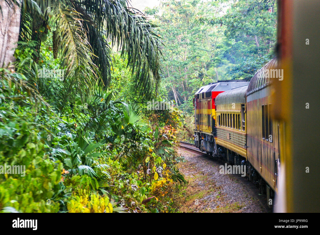 Ansichten der Panama Canal Railway train in den Regenwald Reisen von Panama City nach Colon Stockfoto