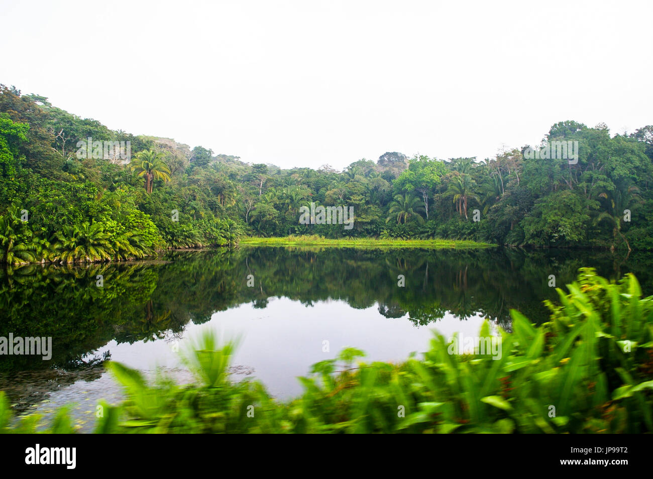 Blick auf Gatun See aus dem Panamakanal Eisenbahn Zug Reisen von Panama City nach Colon Stockfoto