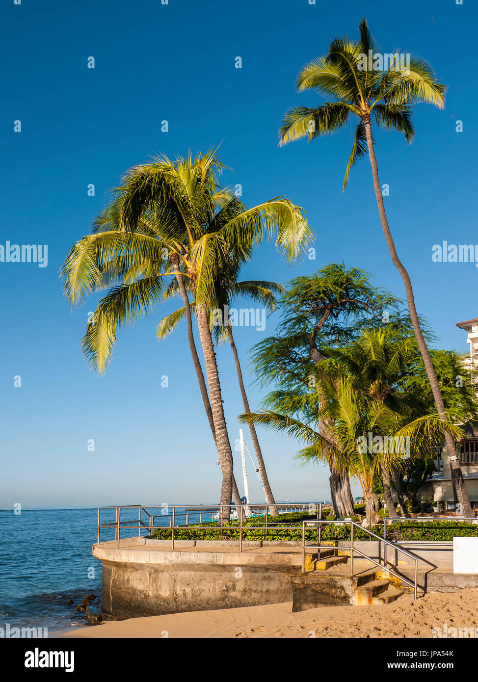 Direkt am Strand, Strand von Waikiki, Honolulu, Hawaii, Stockfoto