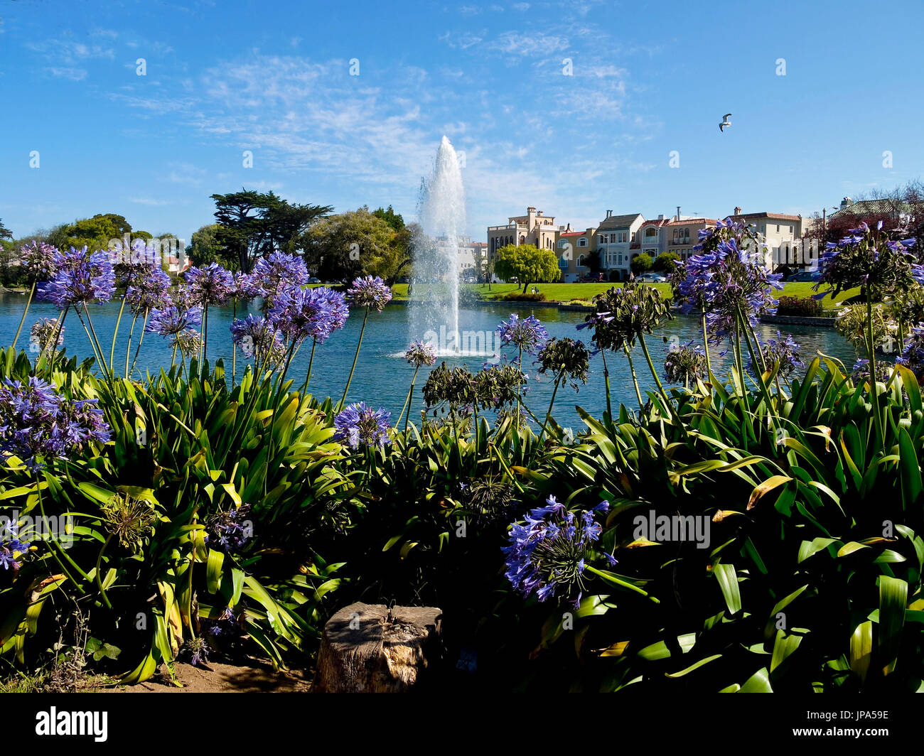 Brunnen, Palace of Fine Arts, San Francisco, Kalifornien, USA Stockfoto