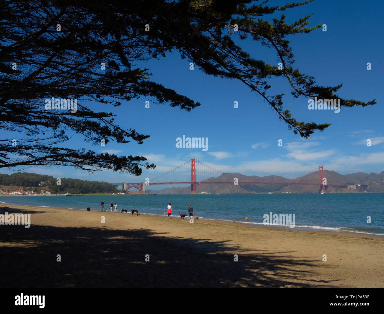 Golden Gate Bridge, San Francisco, Kalifornien, USA Stockfoto