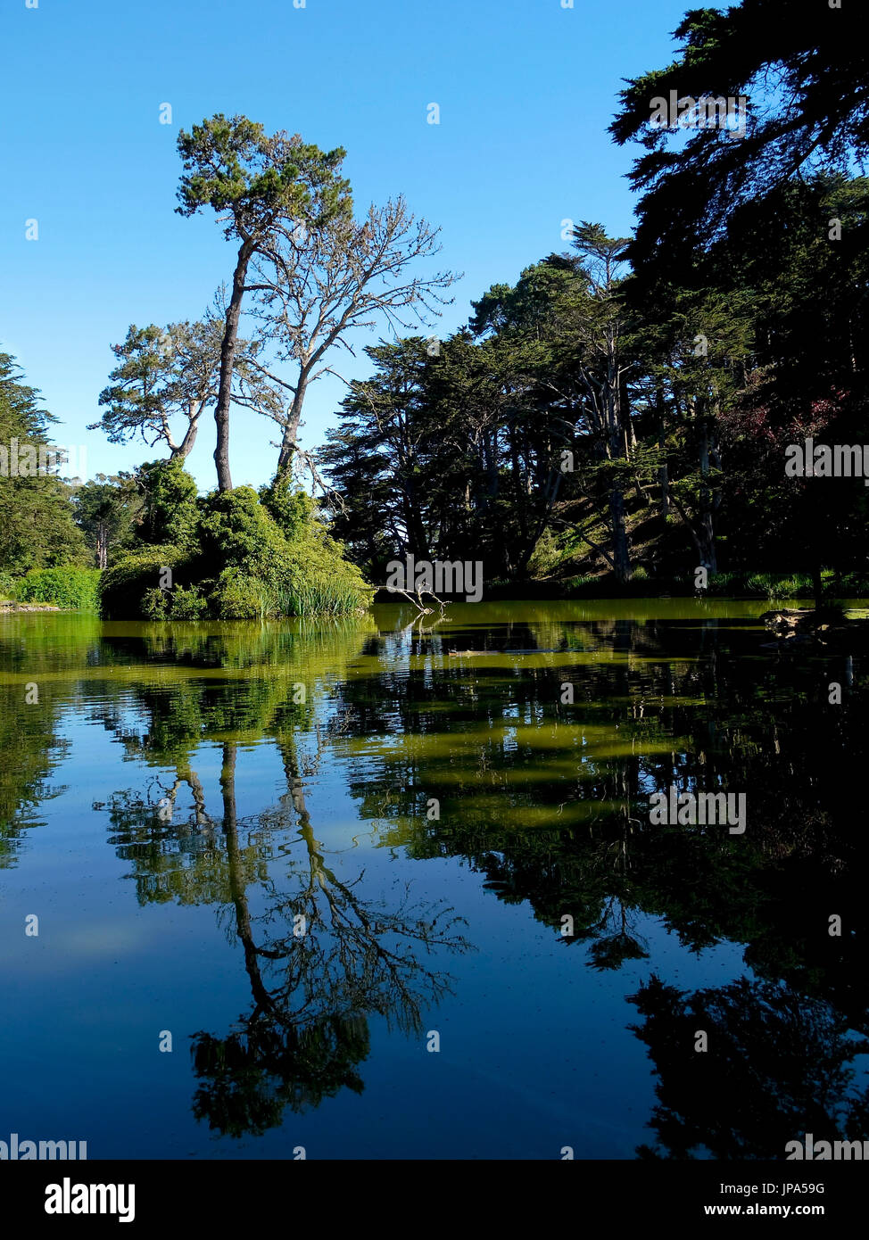 Golden Gate Park, San Francisco, Kalifornien, USA Stockfoto