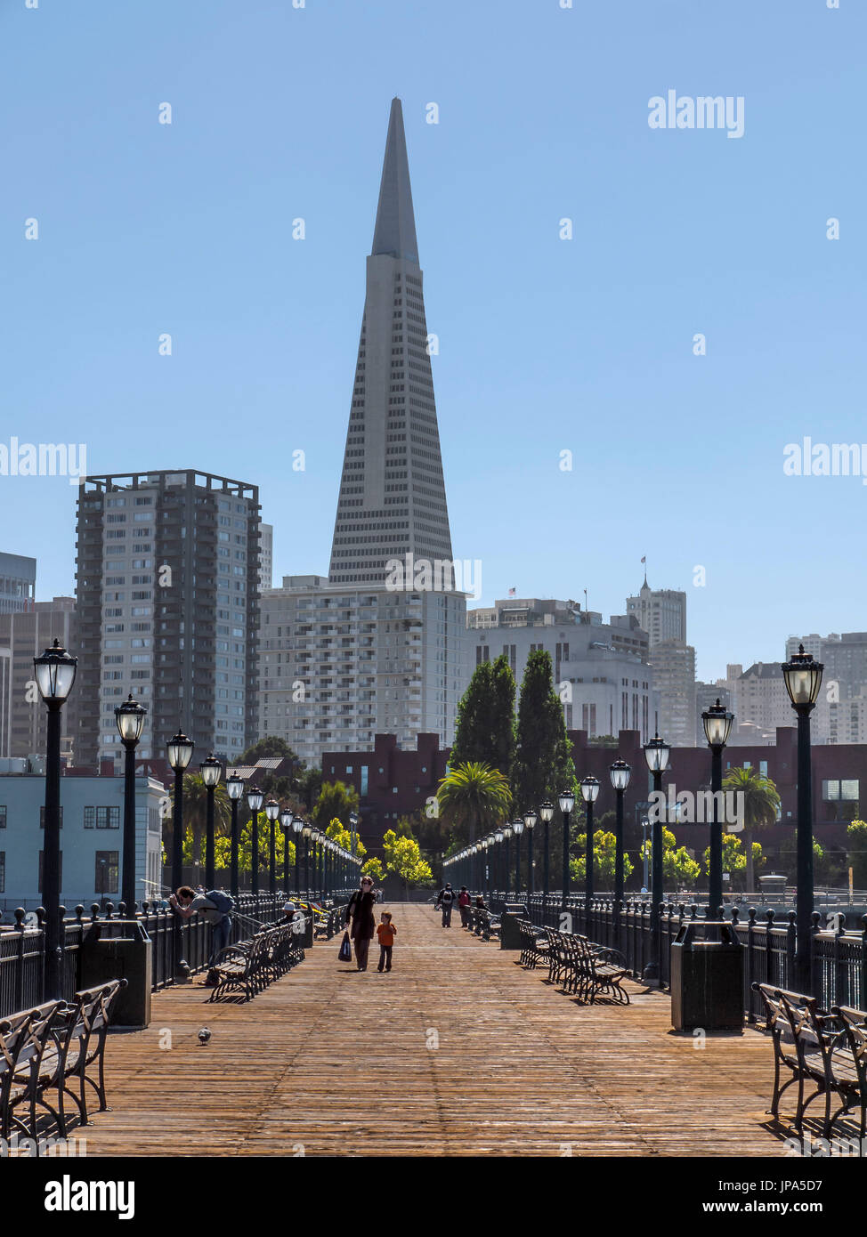 Transamerica Pyramid, San Francisco, USA Stockfoto