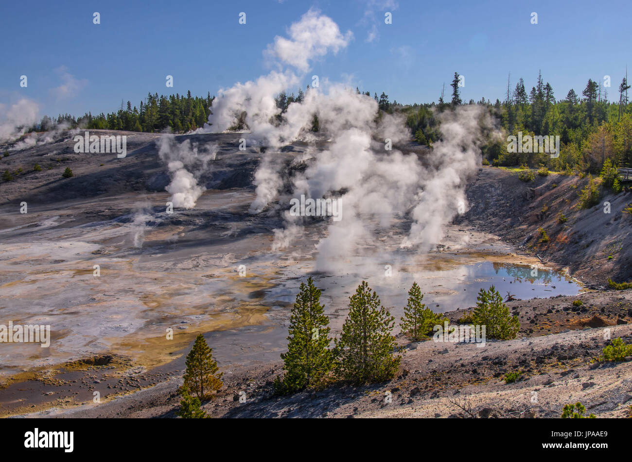 Norris Geyser Basin, Canyon Junction, Wyoming, Vereinigte Staaten von Amerika Stockfoto