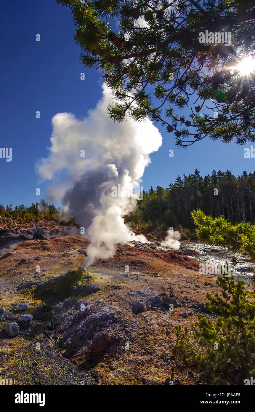 Steamboat Geysir, Norris Geyser Basin, Yellowstone-Nationalpark, Wyoming, USA Stockfoto