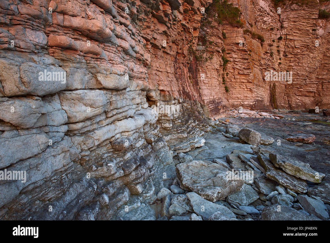 Schweden, Gotland, Lilla Karlsö, Kalkfelsen, Stockfoto