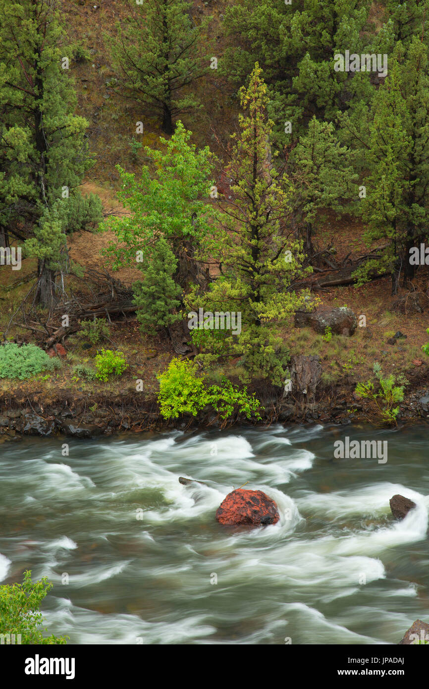 Chewaucan River, Fremont National Forest, Oregon Stockfoto