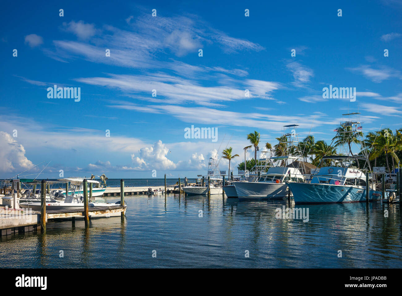 Marina, Islamorada Key, Florida, USA Stockfoto