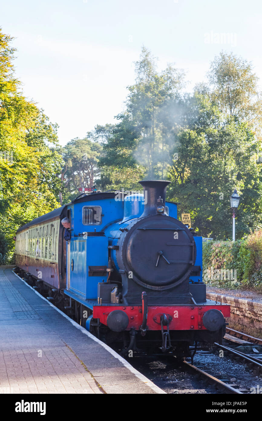 England, Cumbria, Lake District, Windermere, Lakeside, Dampfzug der Lakeside und Haverthwaite Railway Stockfoto
