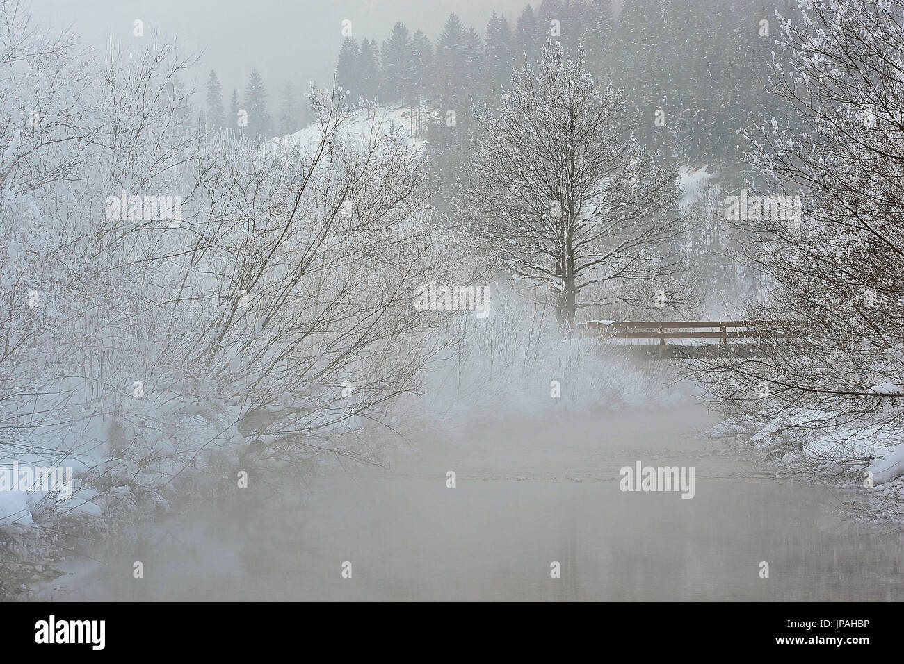 Kleine Holzbrücke über einen Bachlauf in den winterlichen Alpen steht Nebel über dem Wasser. Stockfoto