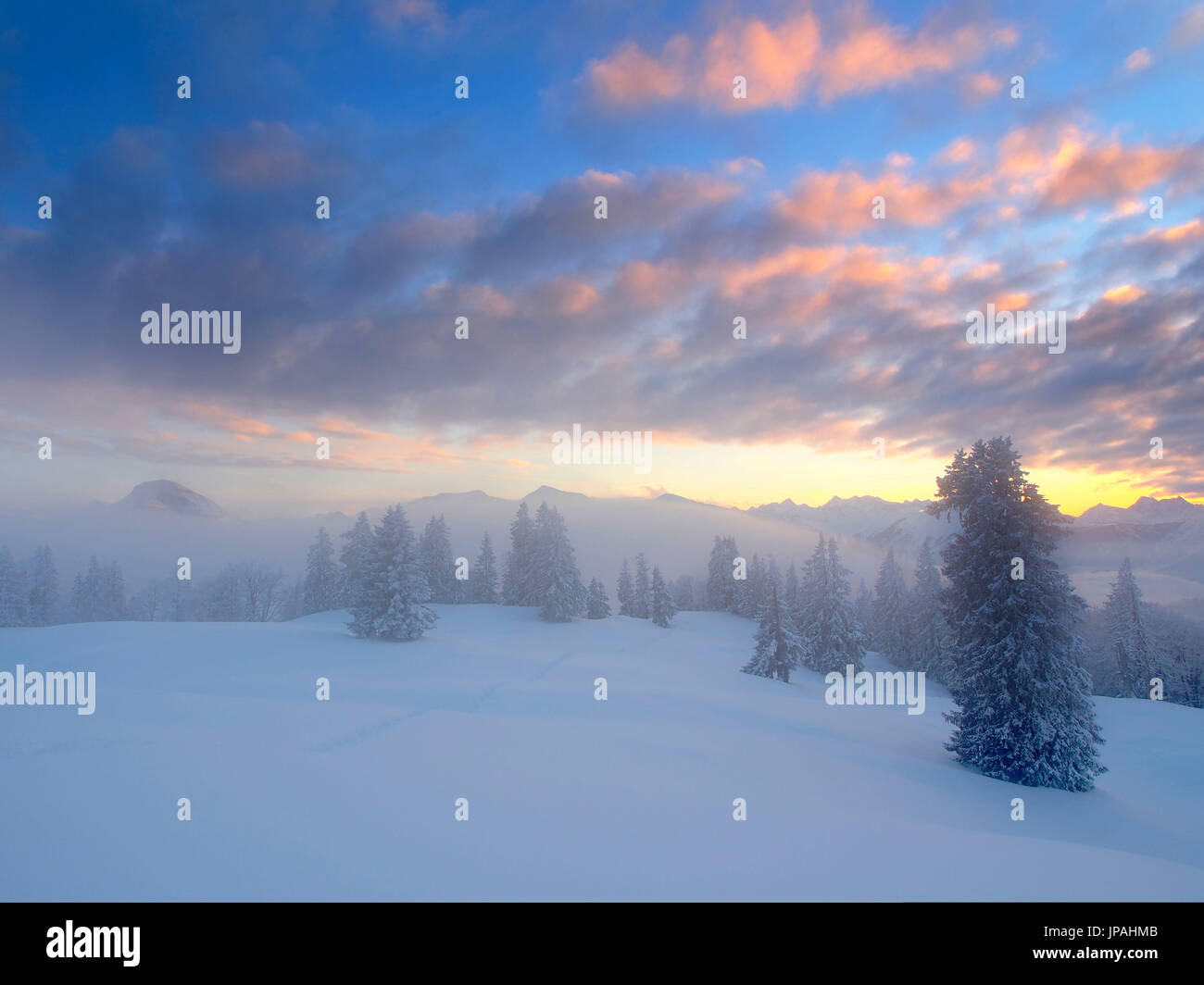 Blick auf die Hochalm (in 1430 m) mit winterlichen Licht Stimmung, eine Spur von Schneeschuhen im Schnee Stockfoto