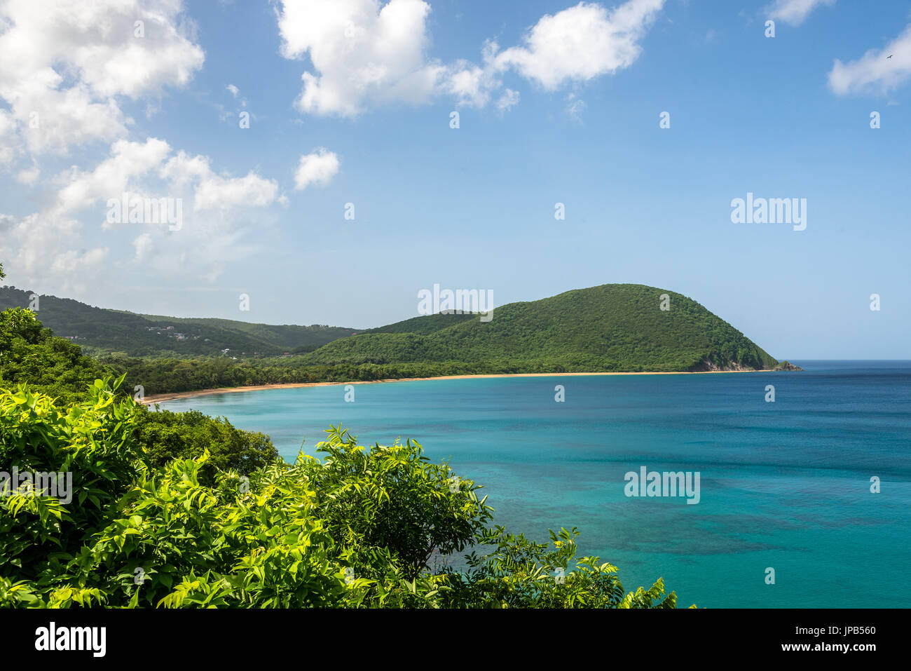 Blick über Bucht von Grande Anse, Guadeloupe Stockfoto