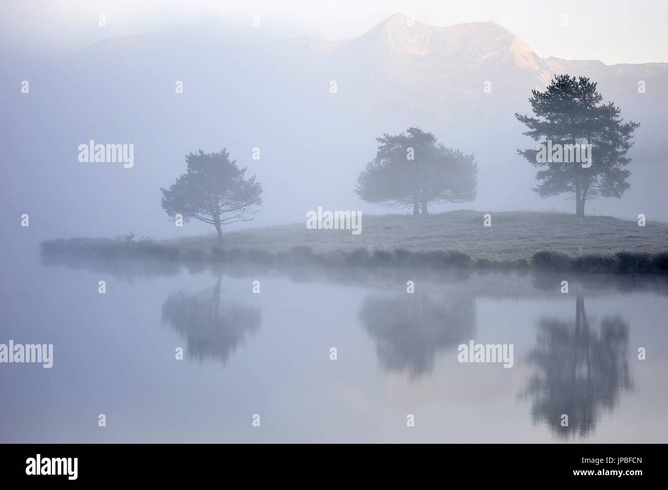 Drei Bäume spiegeln sich im Wasser des Schmalensee (See), während der Nebel einen Blick gibt auf die Berge. Stockfoto