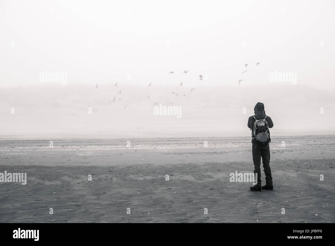 1 einzelne Person alleine am Strand der Nordsee, Stockfoto