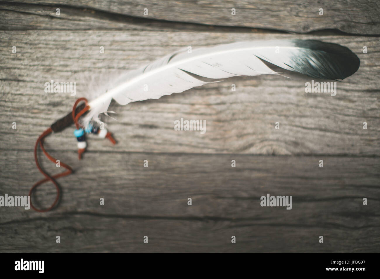 Indische Feder, symbol Stockfoto