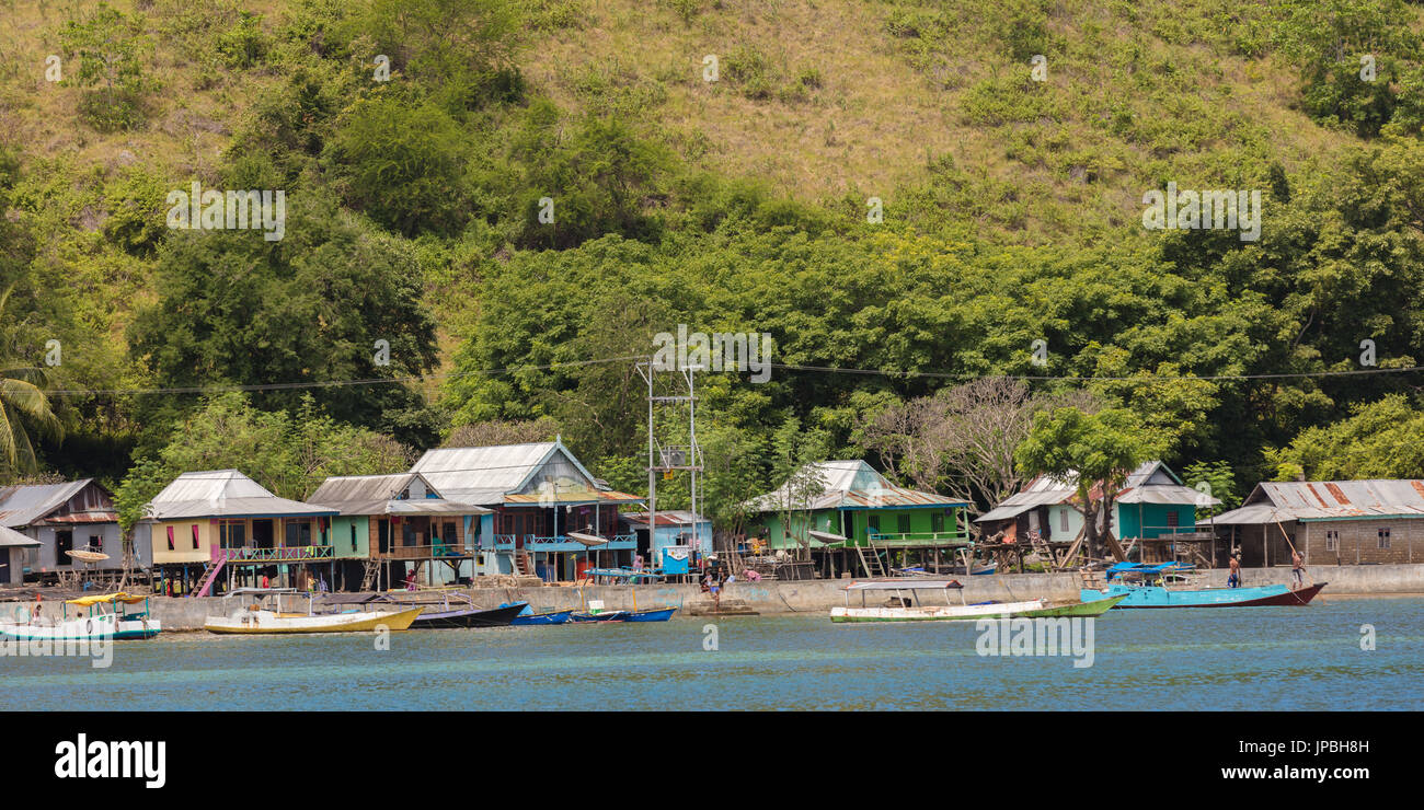 Häuser von Kampung Rinca, Stadt, Indonesien, Rinca, Insel, tropisch Stockfoto