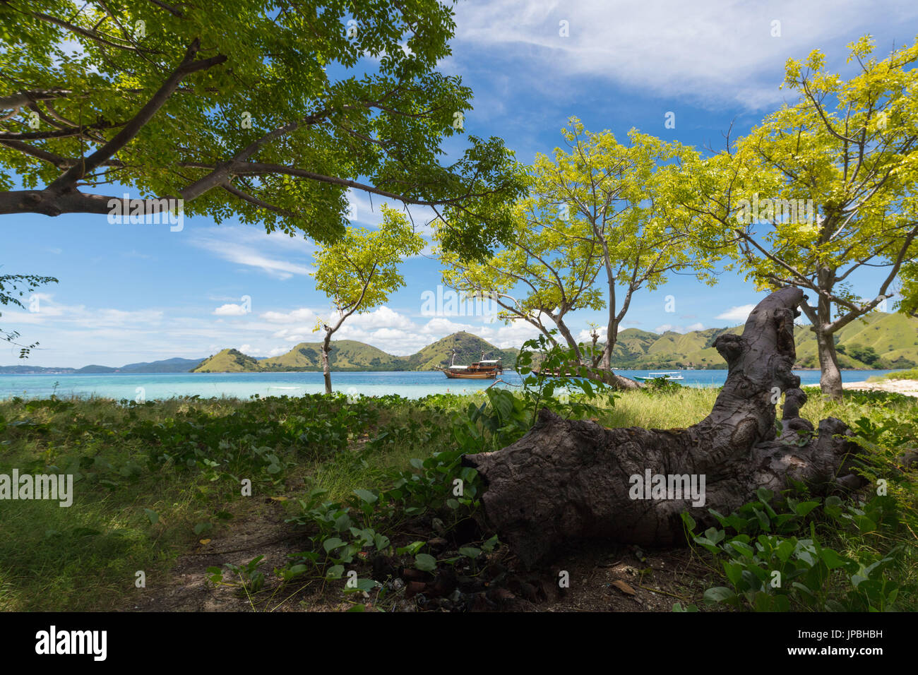 Landschaft eine typische Insel im Meer Flores, Indonesien, Komodo, UNESCO, Weltkulturerbe Stockfoto