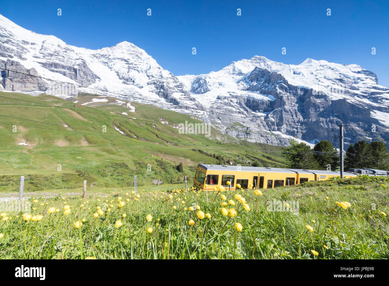 Die Zahnradbahn der Wengernalpbahn führt über Wiesen und schneebedeckten Gipfeln Wengen Berner Oberland Kanton Bern-Schweiz-Europa Stockfoto
