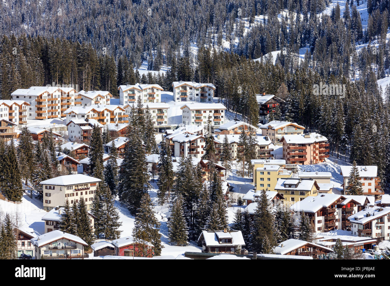 Blick auf das alpine Dorf Arosa, umrahmt von schneebedeckten Wald Bezirk Plessur Kanton Graubünden-Schweiz-Europa Stockfoto