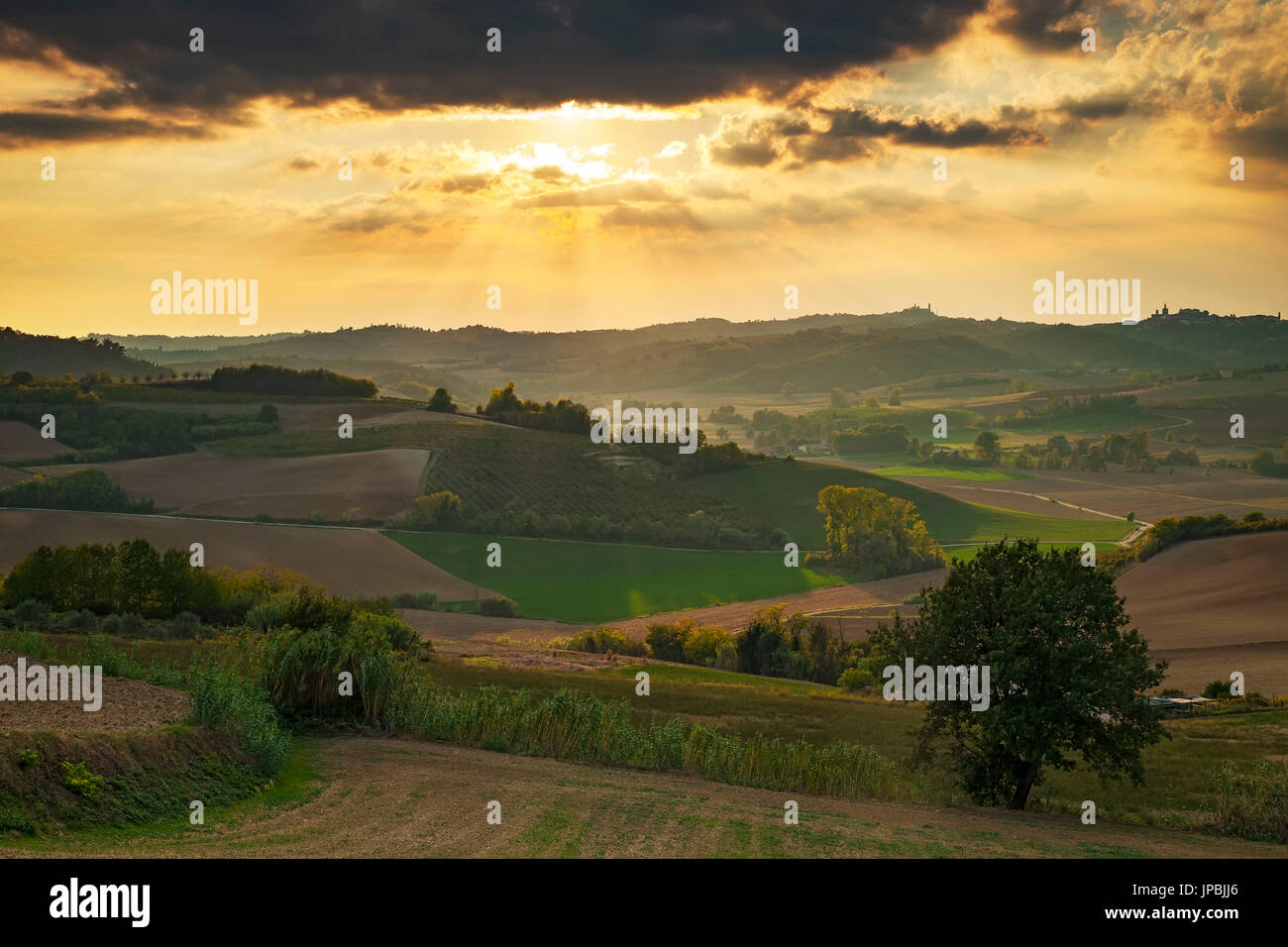Monferrato Hügel, Provinz Alessandria, Piemont, Italien, Europa. Stockfoto