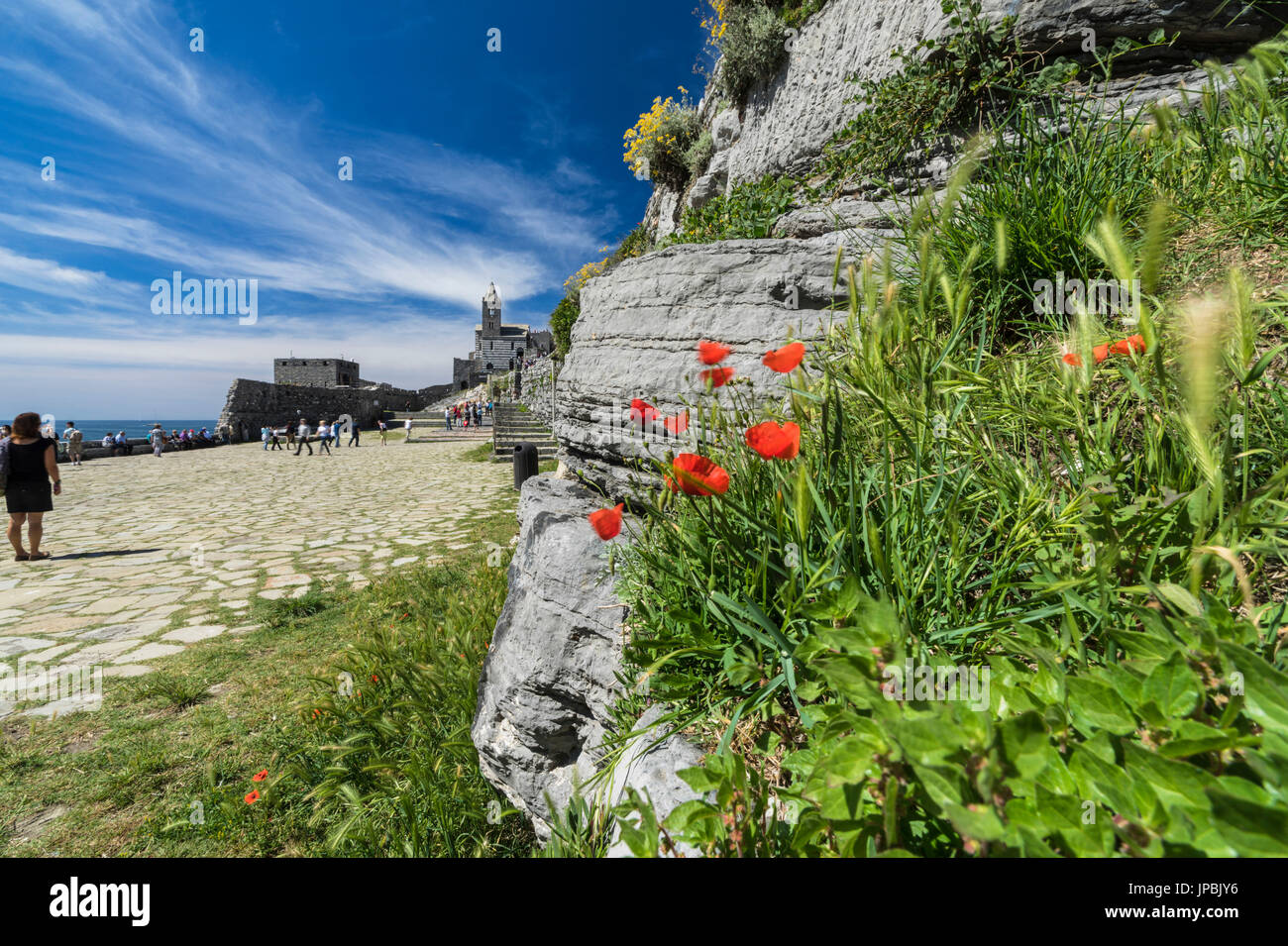 Blumen und blaues Meer umrahmen die alte Burg und die Kirche auf der Landzunge Portovenere Provinz von La Spezia Ligurien Italien Europa Stockfoto