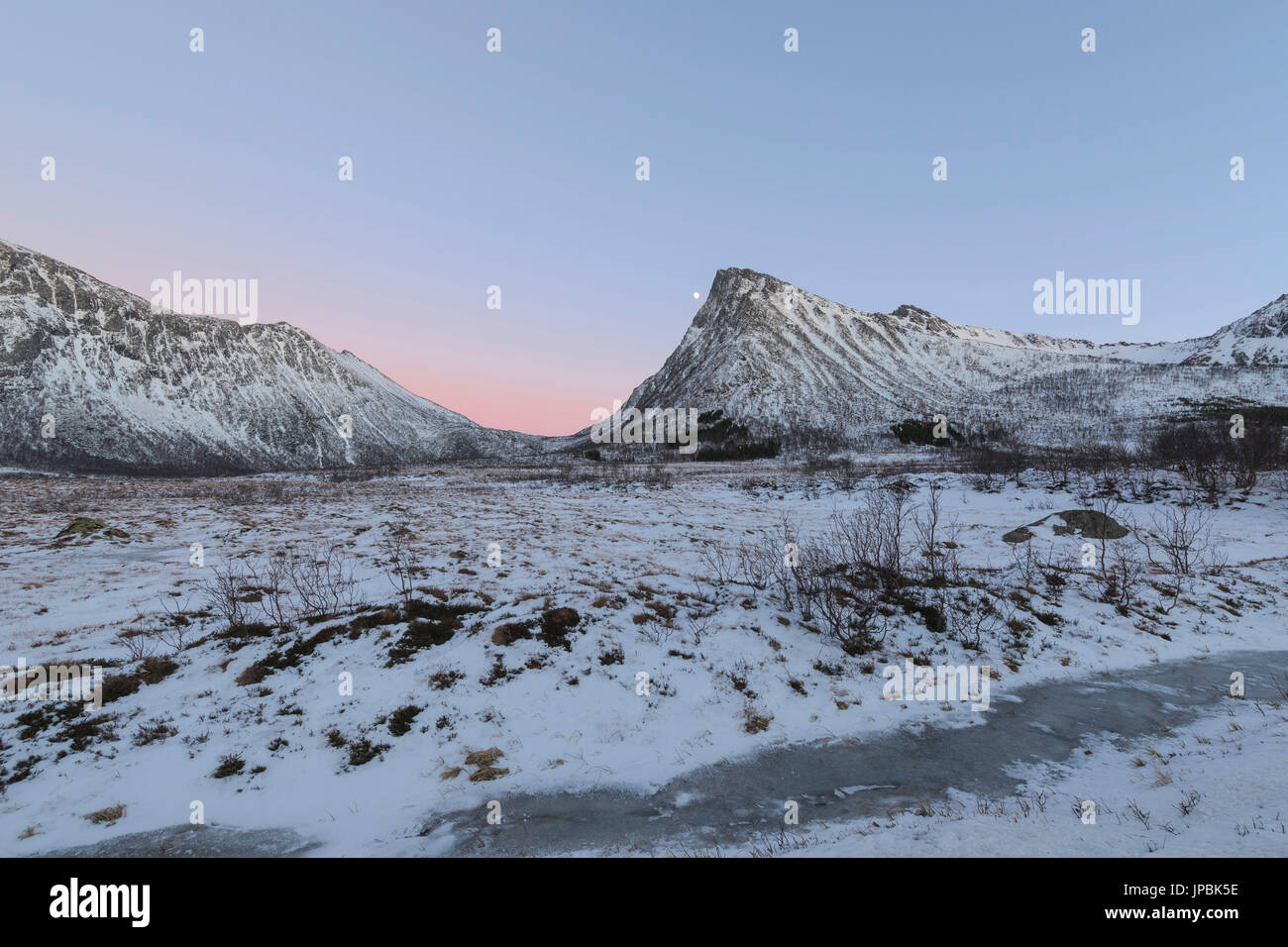 Rosa Himmel bei Sonnenaufgang leuchtet die schneebedeckten Gipfel im arktischen Winter Hamn ich Senja Bergsfjordens Tromsø Norwegen Europa Stockfoto
