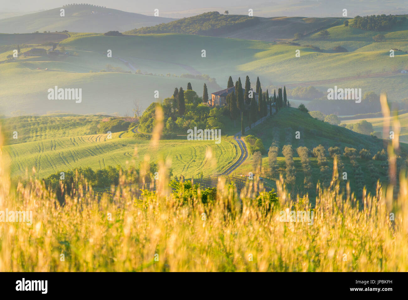 Podere Belvedere im Morgengrauen - San Quirico d ' Orcia, Provinz Siena, Toskana (Val d ' Orcia), Italien, Europa Stockfoto