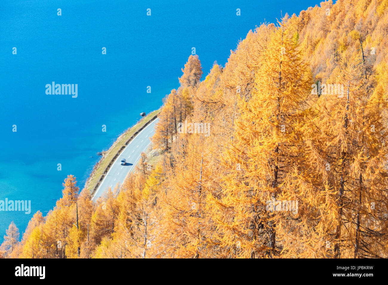 Die roten Lärchen umrahmen das türkisblaue Wasser des Sees Sils Maloja Kantons Graubünden Engadin Schweiz Europa Stockfoto