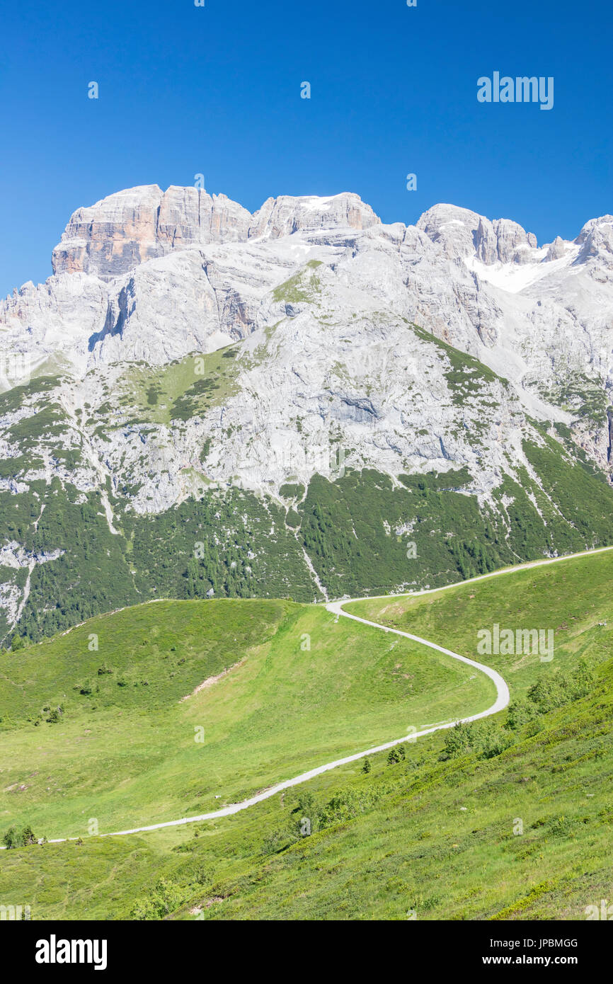 Grüne Wiesen umrahmen die felsigen Gipfeln Doss Del Sabion Pinzolo Brenta Dolomiten Trentino Alto Adige Italien Europa Stockfoto