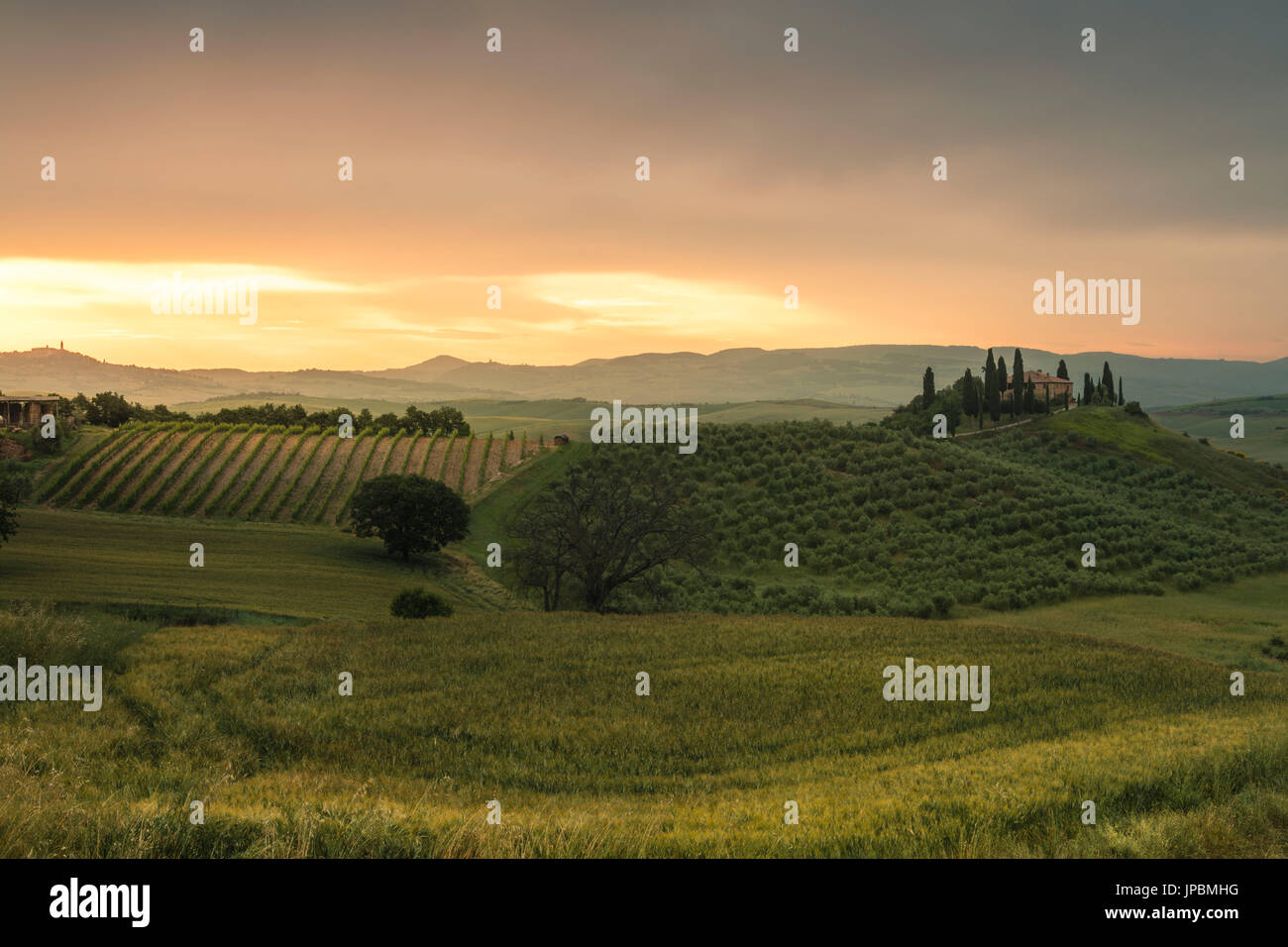 Sonnenaufgang auf den sanften grünen Hügeln des Val d ' Orcia Provinz von Siena Toskana Italien Europa Stockfoto