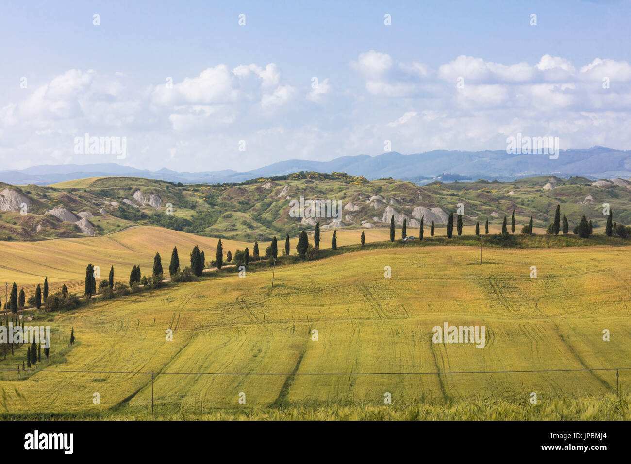 Blauer Himmel rahmt die grünen Hügel und die typischen Zypressen der Crete Senesi (Senese Tone) Provinz von Siena Toskana Italien Europa Stockfoto