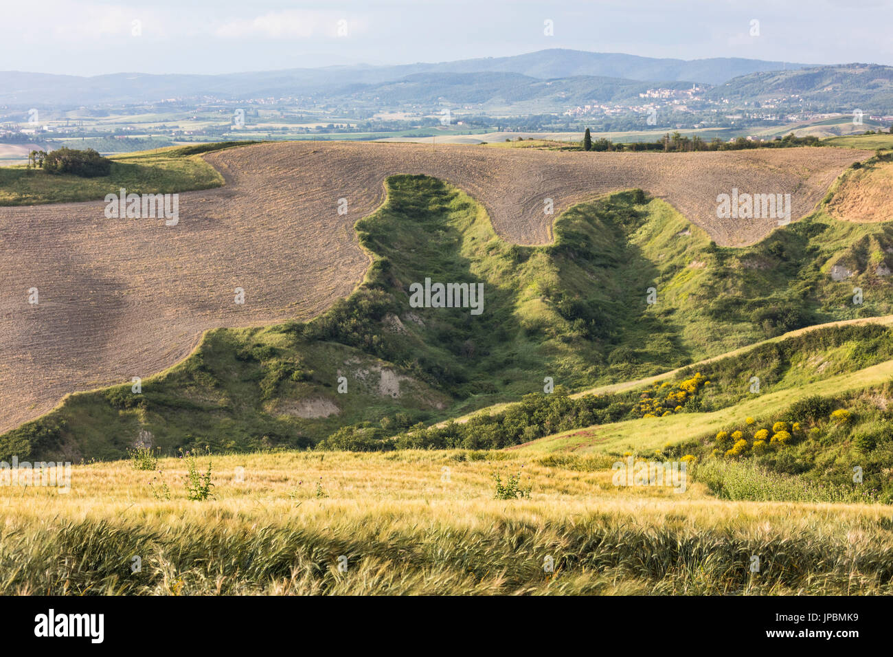 Die geschwungenen Formen der bunten Hügel von der Crete Senesi (Senese Tone) Provinz von Siena Toskana Italien Europa Stockfoto